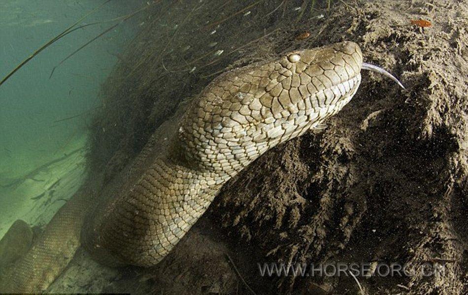 当前第 1 张|共2000 张图片