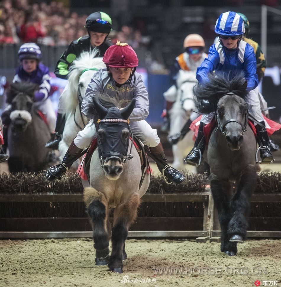 伦敦国际马展萌娃萌马齐上阵