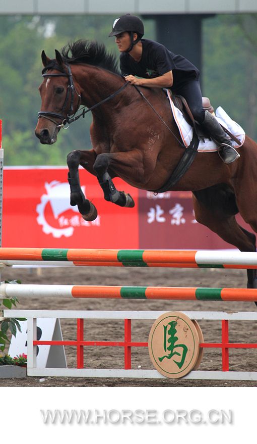 晓光手记:24日,为现代五项世界杯参战马匹验马日